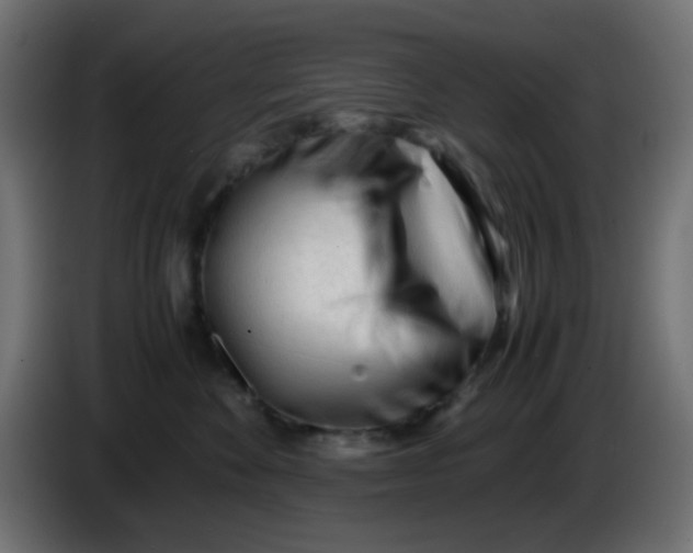 X0000086060524200704132021