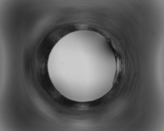 X0000086060525200704132021