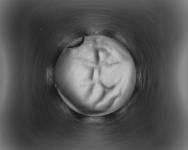 X0000086060526200704132021