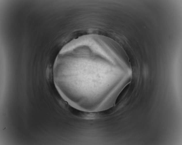 X0000086060527200704132021