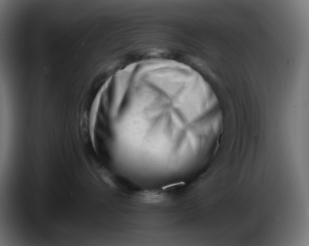 X0000086060528200704132021