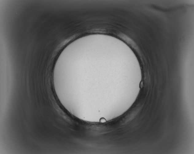 X0000086060529200704132020