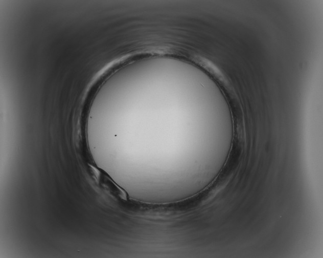 X0000086060532200704132020