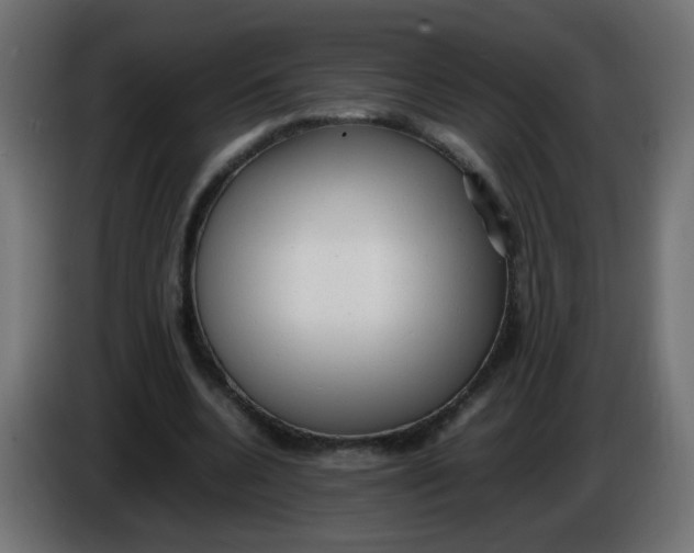 X0000086060536200704132020