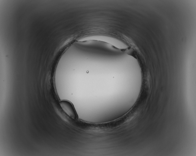 X0000086060538200704132020