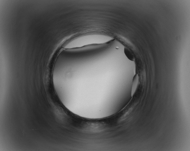 X0000086060540200704132020