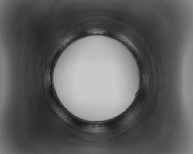 X0000086060541200704132020