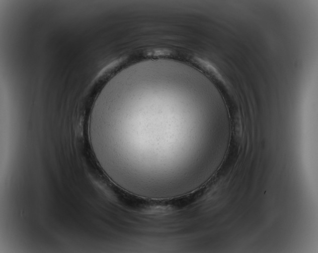 X0000086060543200704132020