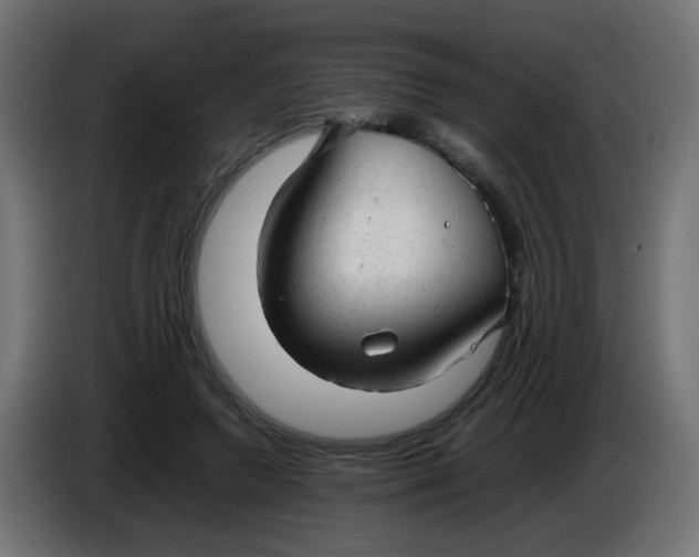 X0000086060546200704132020