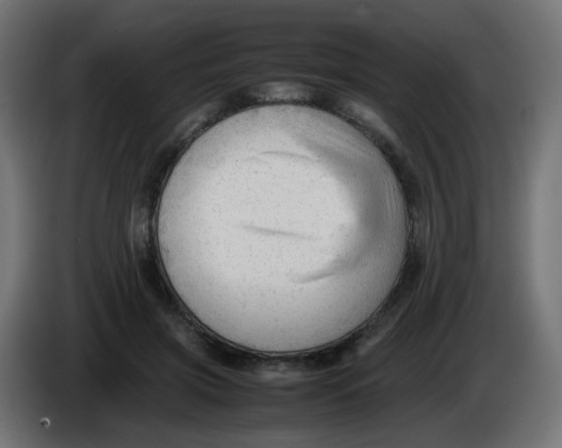 X0000086060549200704132020