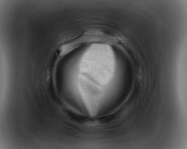 X0000086060551200704132020