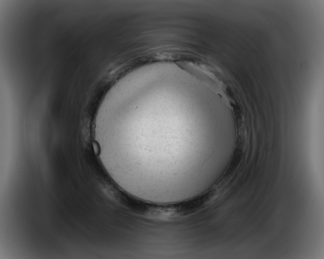 X0000086060554200704132020