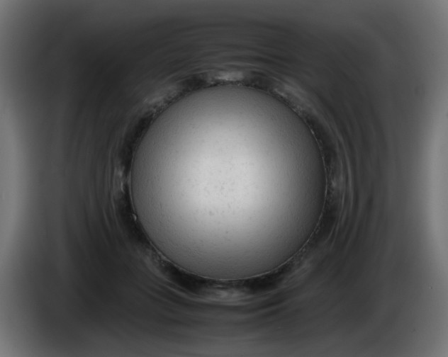 X0000086060555200704132020