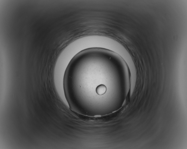 X0000086060556200704132020