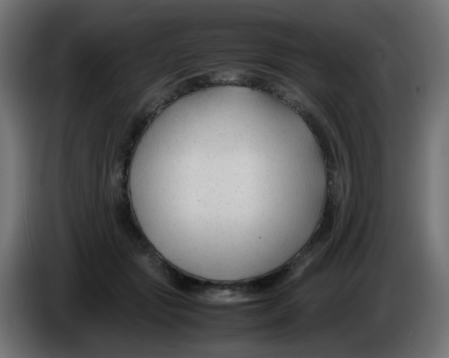 X0000086060557200704132020