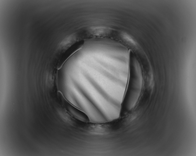 X0000086060558200704132020