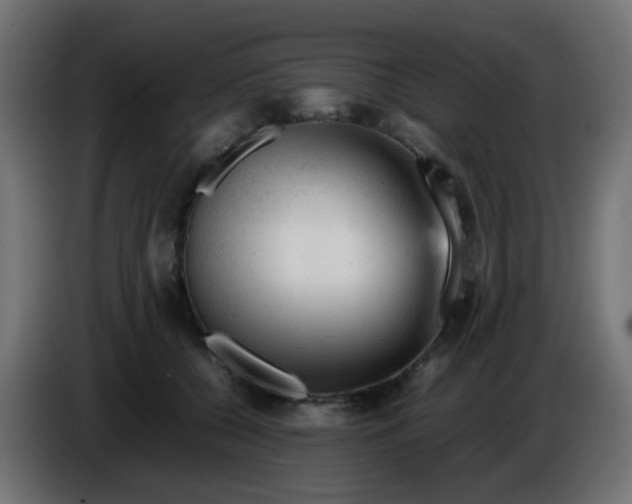 X0000086060560200704132020