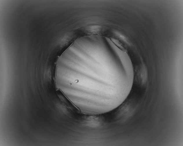 X0000086060562200704132020