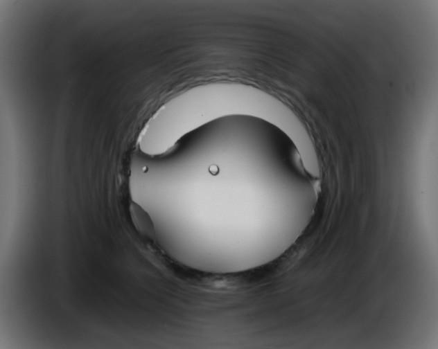 X0000086060564200704132020