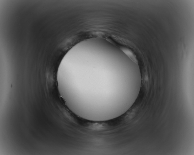 X0000086060566200704132020