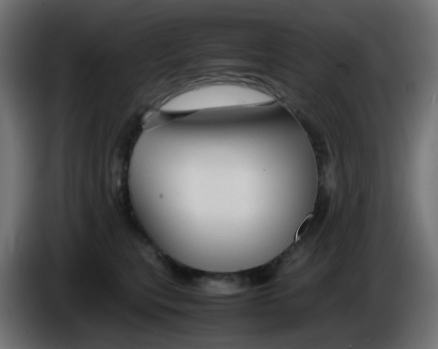 X0000086060567200704132020