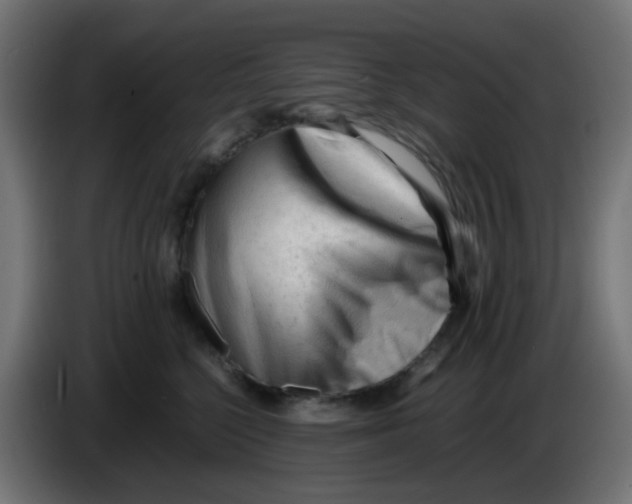 X0000086060568200704132020