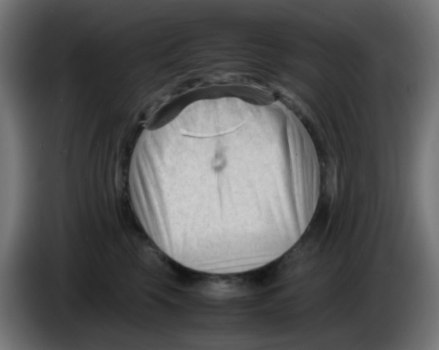 X0000086060569200704132020