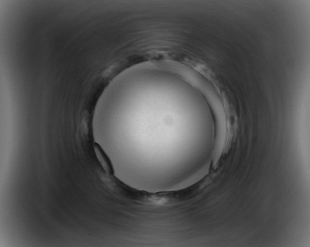 X0000086060570200704132020