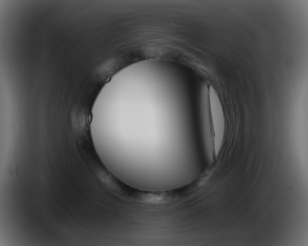 X0000086060574200704132021