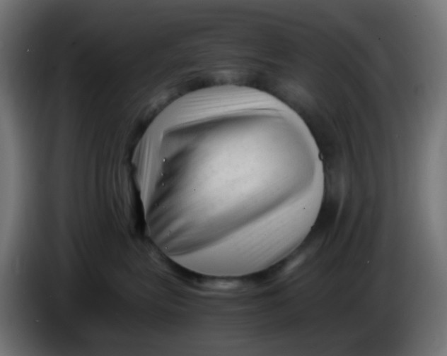 X0000086060575200704132021