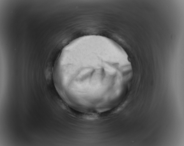 X0000086060576200704132021