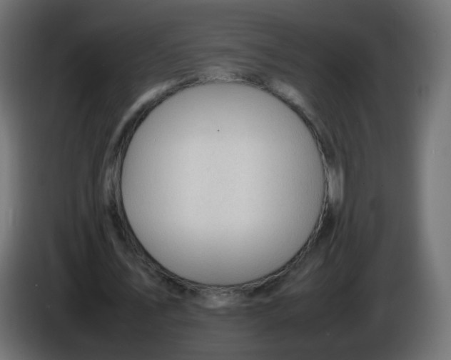 X0000086060579200704132020