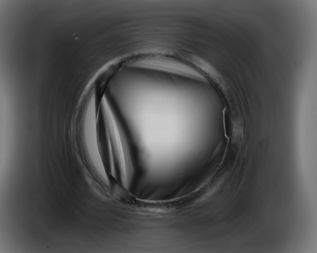 X0000086060580200704132020