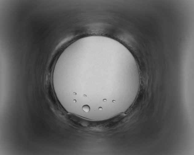 X0000086060583200704132020