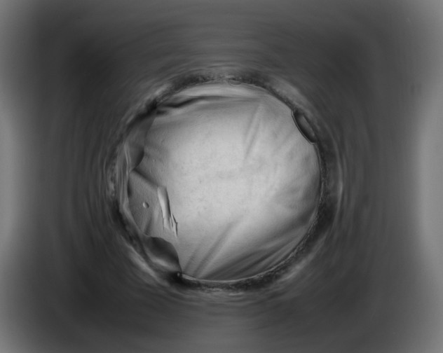 X0000086060585200704132020