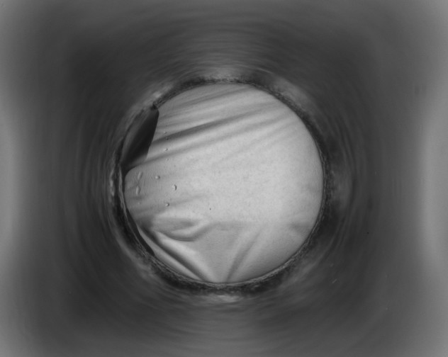 X0000086060586200704132020