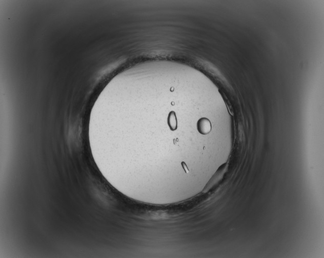 X0000086060588200704132020