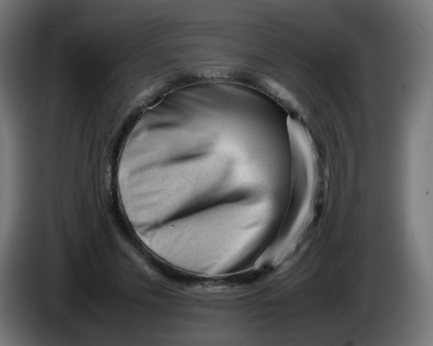 X0000086060589200704132020