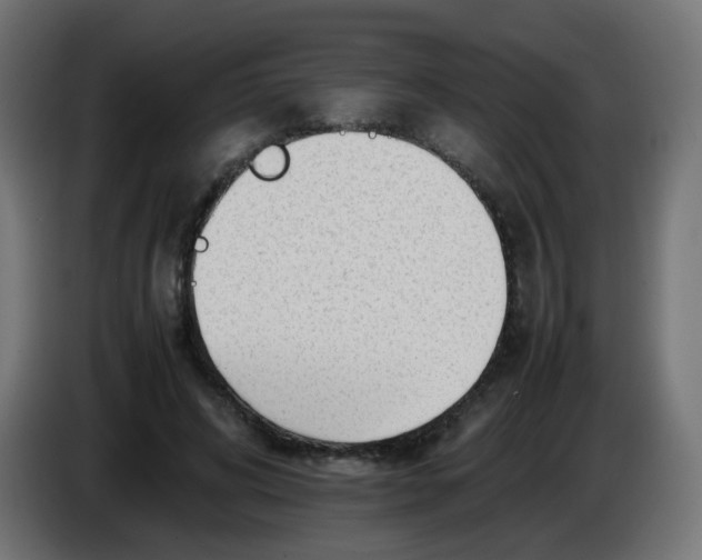 X0000086060592200704132020