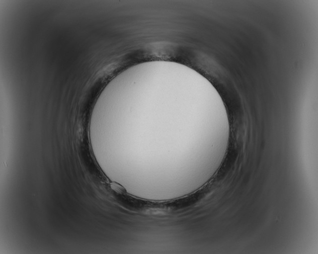 X0000086060595200704132020