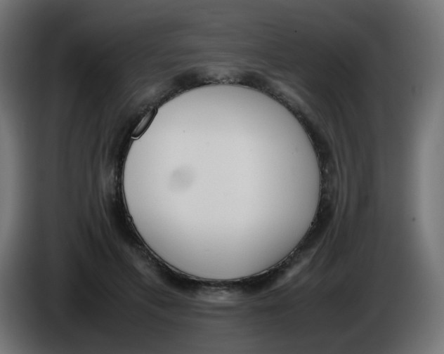 X0000086060597200704132020