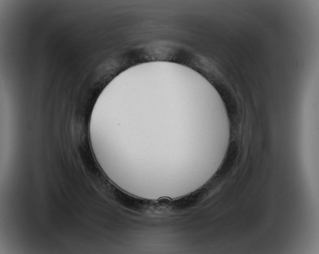 X0000086060599200704132019