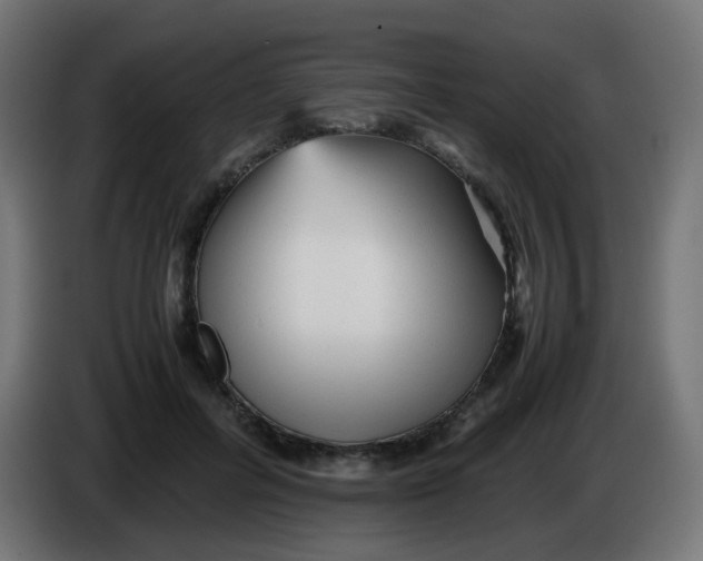 X0000086060600200704132019