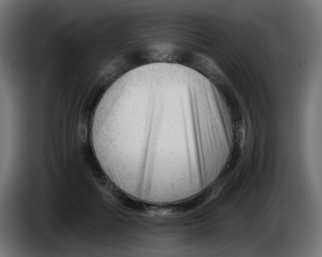 X0000086060602200704132019