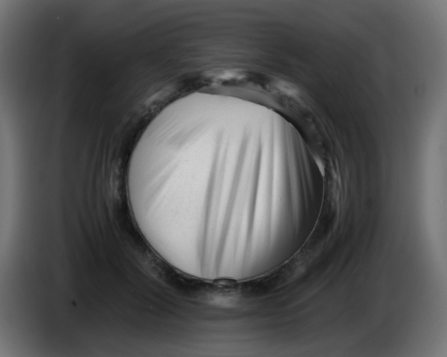 X0000086060604200704132019