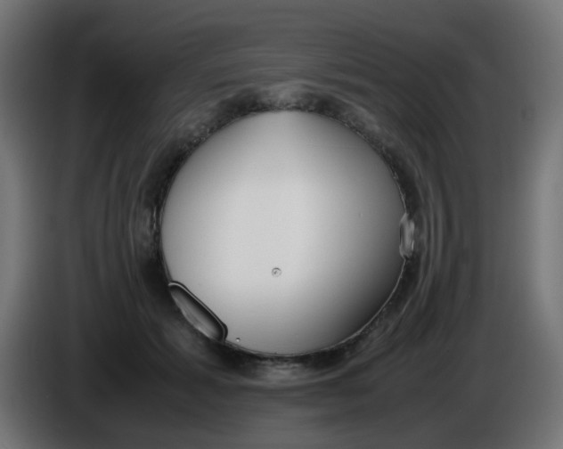 X0000086060605200704132019