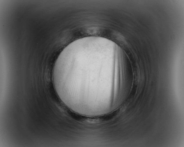 X0000086060606200704132019