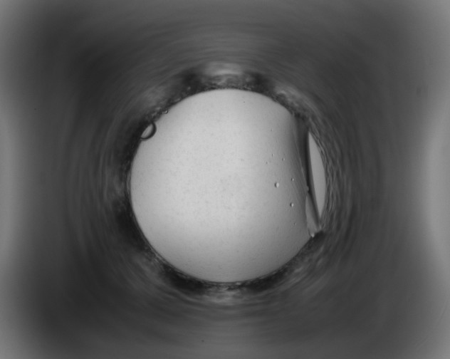 X0000086060607200704132019