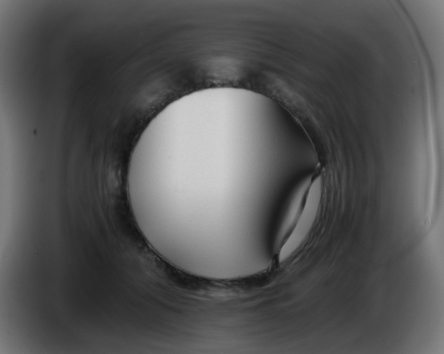 X0000086060608200704132019