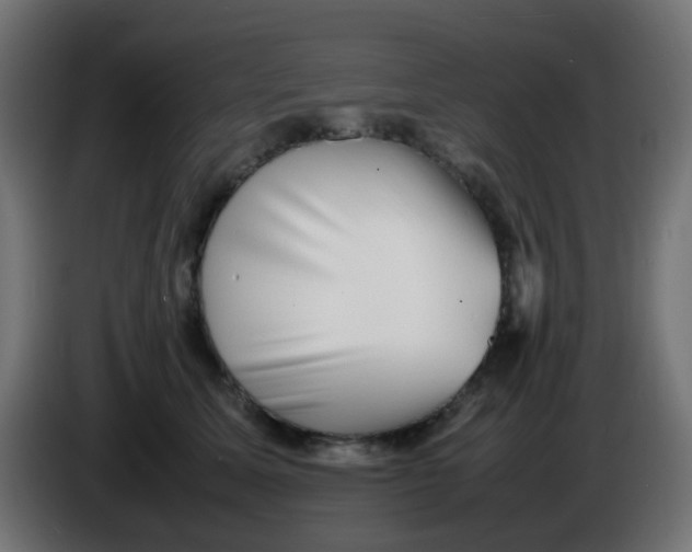 X0000086060611200704132019